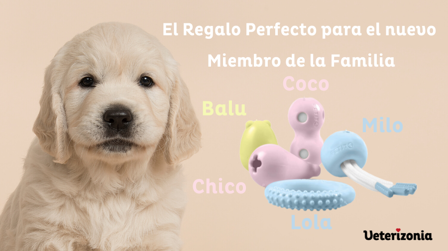 Juguetes para cachorros - Juguetes específicos - Veterizonia