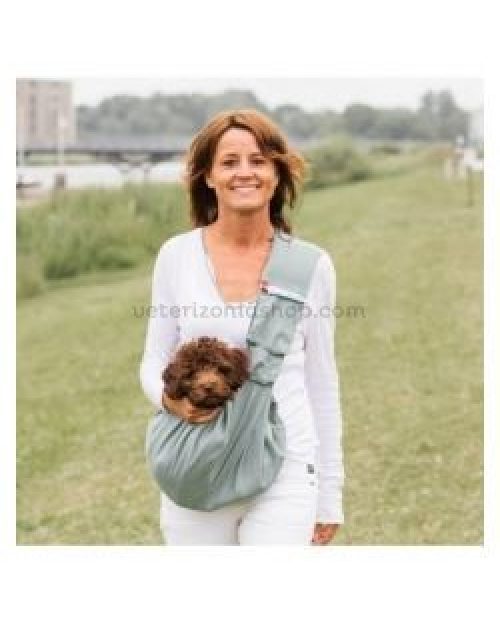 bolso bandelera perros gatos lazy verde