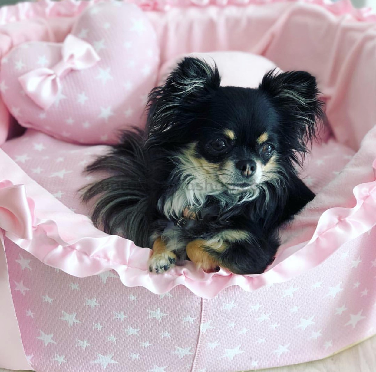 cama perro estrellas rosa