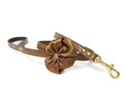 correa perro coco marron
