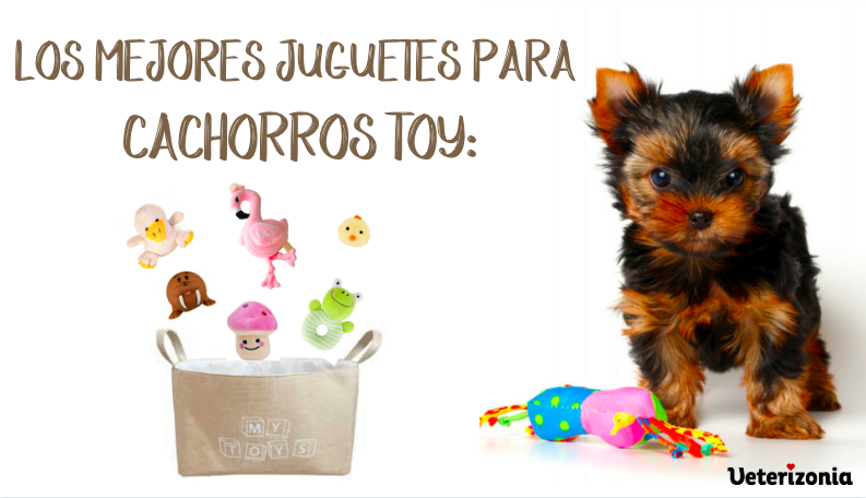 Los mejores juguetes interactivos para perros