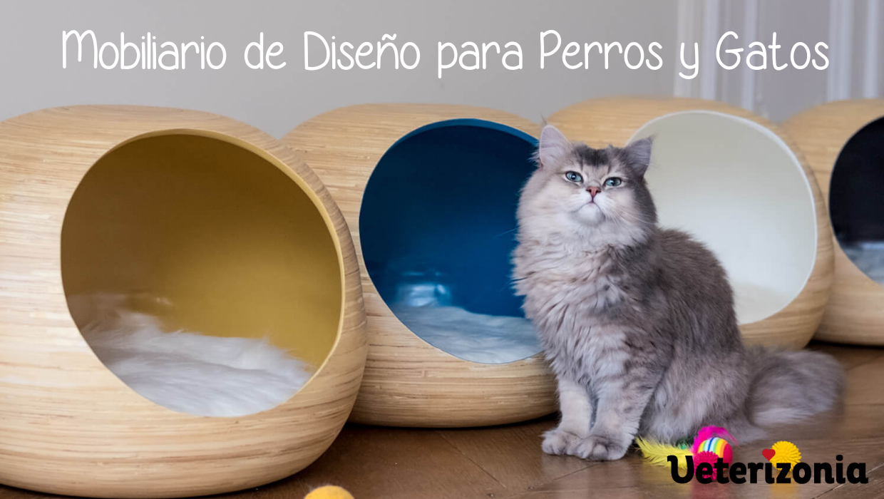 Toallas húmedas para Perros y Gatos - Veterizonia