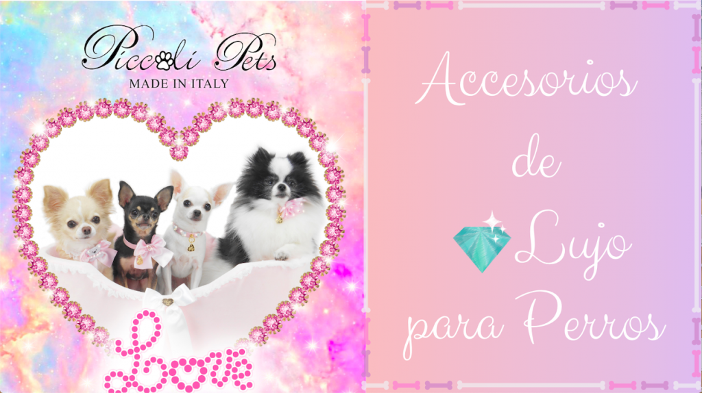 Alegre representante De nada Piccoli Pets: Accesorios de Lujo para Perros Pequeños - Veterizonia