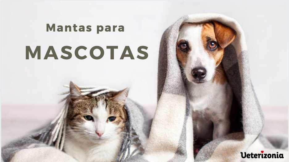 chivalrylist Manta para Mascotas Manta Suave y cálida para Perros Manta de Felpa Lavable para Gatos Adecuado para Gatos Perros 