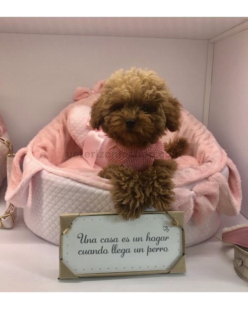 cama perro desenfundable rosa