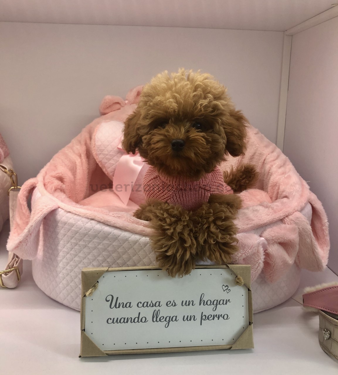 cama perro desenfundable rosa