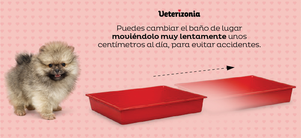  Enseñar a hacer PIS Empapador