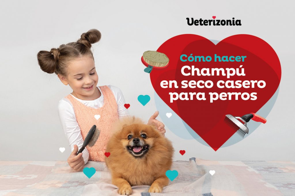 Champú seco para perros