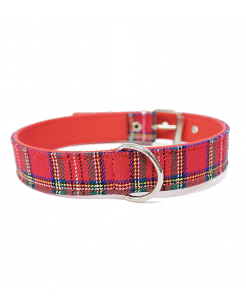 collar perro escoces rojo