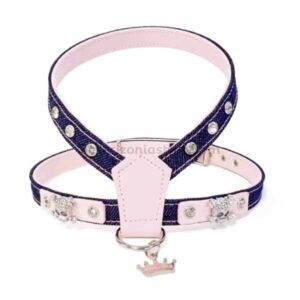 arnes perro punk strass
