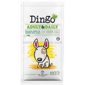 dingo natura adult daily