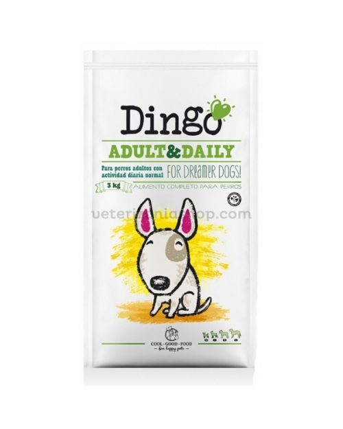 dingo natura adult daily