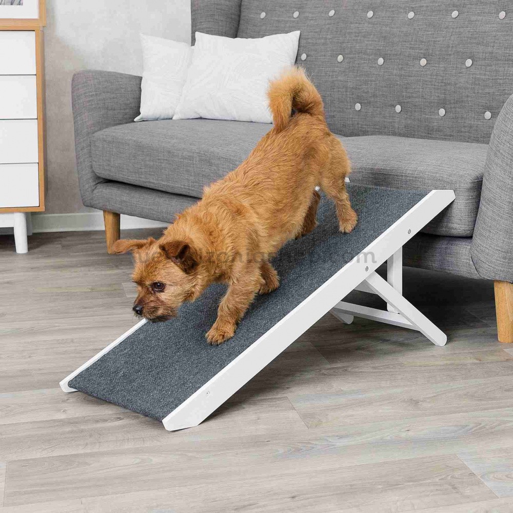 Cómo Hacer una Rampa para tu Mascota?  Escaleras para perros, Mascotas,  Rampa para perros