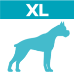 XL