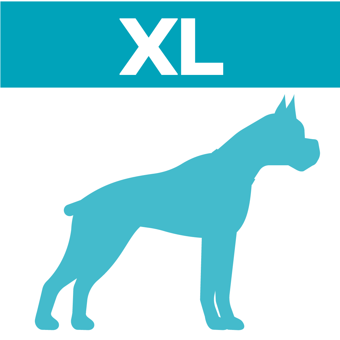 XL