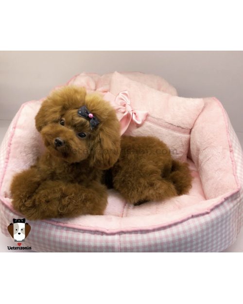 caniche toy peluquería canina veterizonia