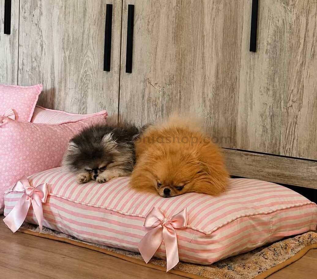Colchoneta rosa desenfundable para perros pequeños con lazos y pomeranias descansando