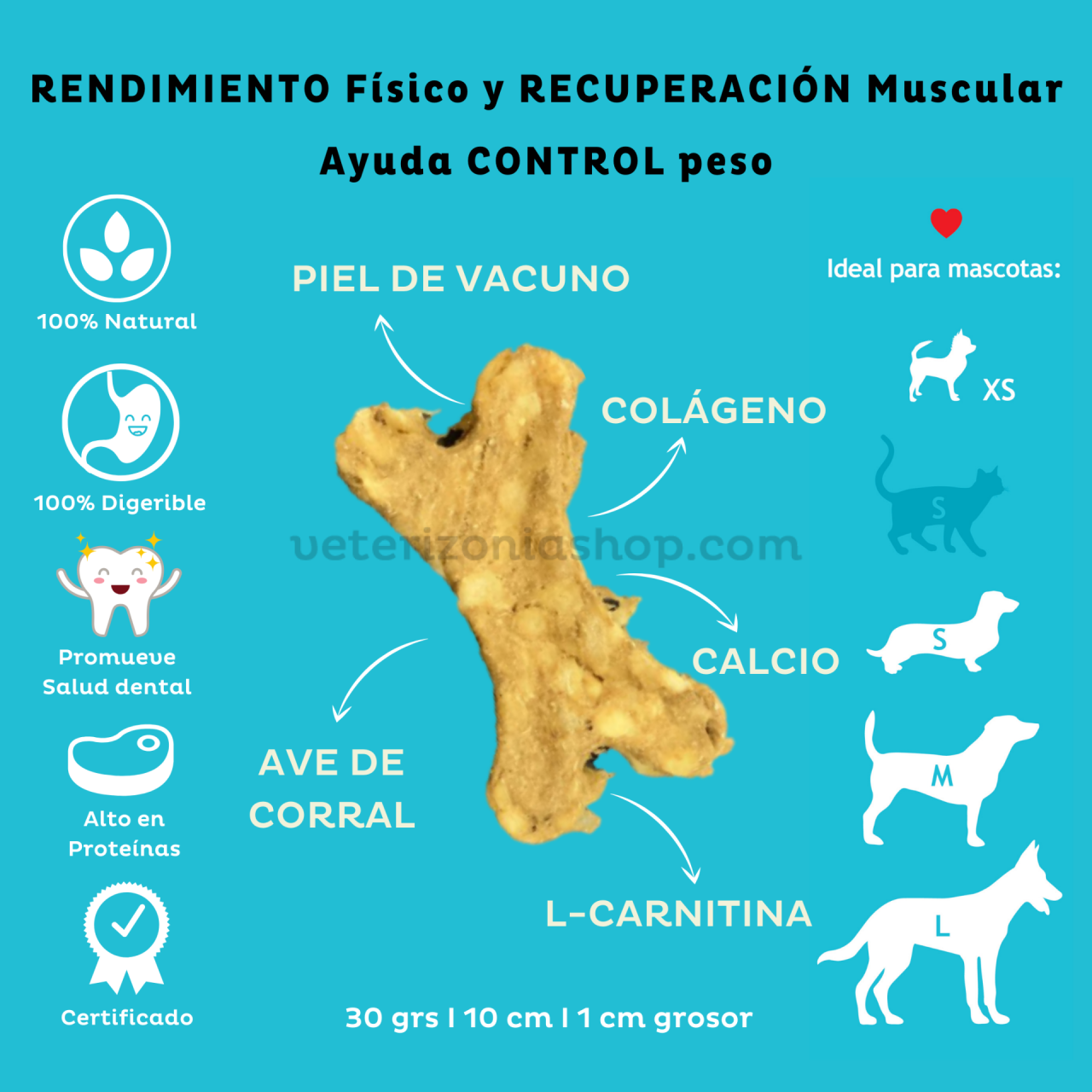 l carnitina en perros Beaphar Multivit + Carnitina Perro 50 ml