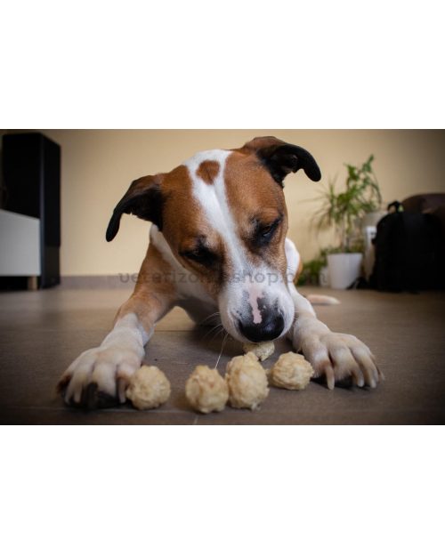 snack-albondigas-ternera-para-perros