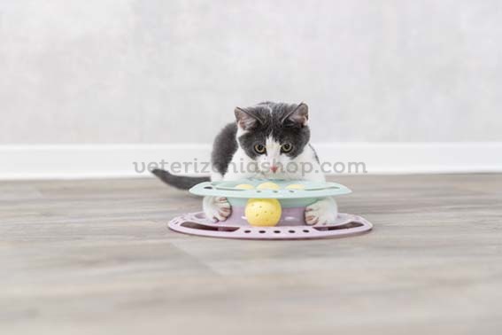 juguete-interactivo-para-gatitos-junior-circle-2