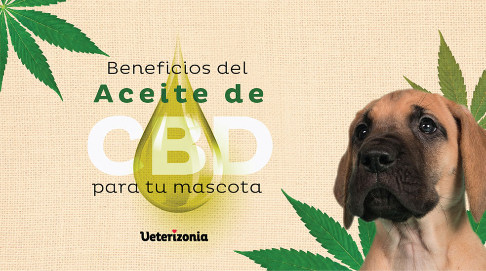 Aceite de Salmón y Oliva para Perros Relajante】Waggy's® –