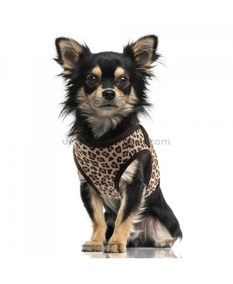 arnés-akela-leopardo-noox-para-perros-1