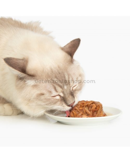 catit-dinner-alimentación-húmeda-para-gatos
