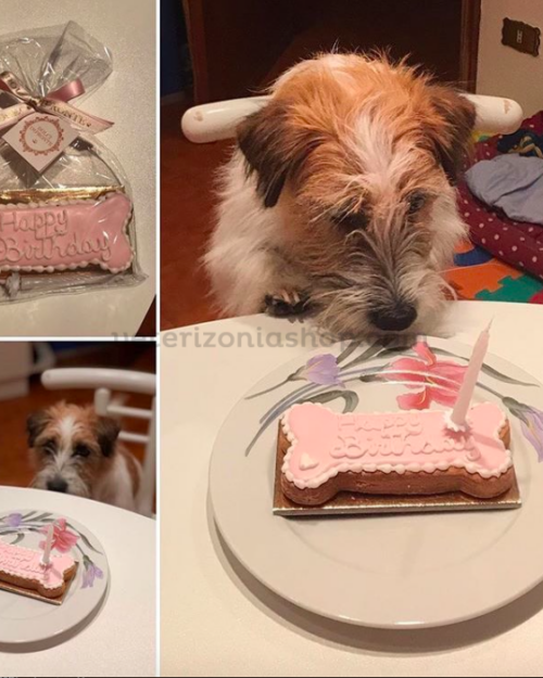dolci-impronte-set-cumpleaños-tarta-hueso-rosa-veterizonia-1