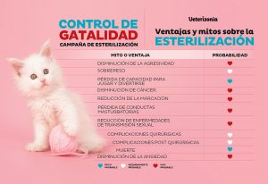 Beneficios de la esterilización de los gatos