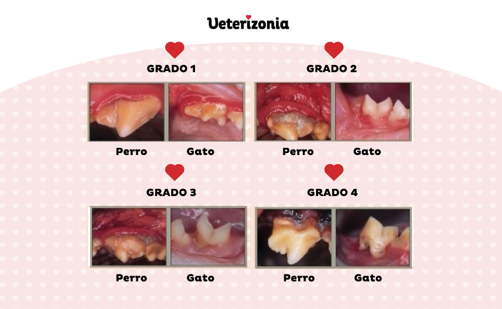 Higiene Oral y Dental-04