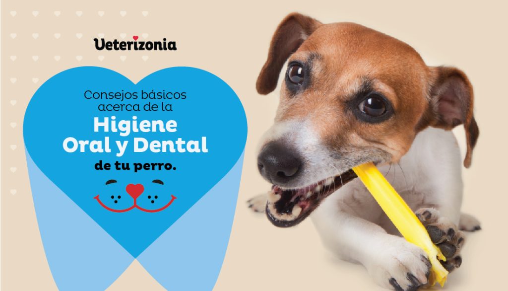 Higiene Oral y Dental Perros