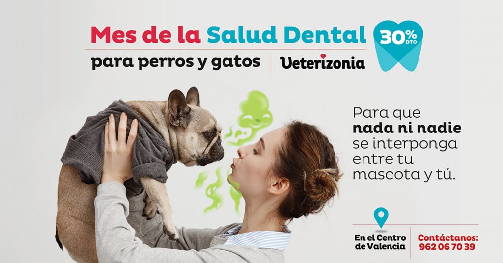 campaña-salud-dental-para-perros-gatos