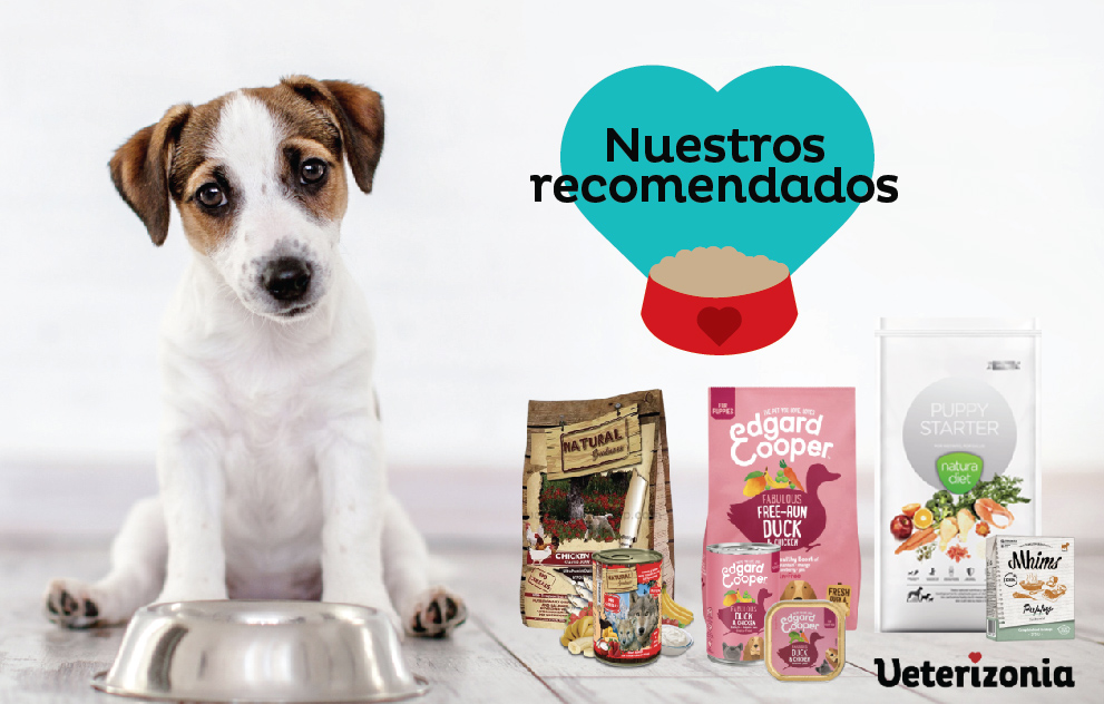 alimentos más apropiados para cachorros