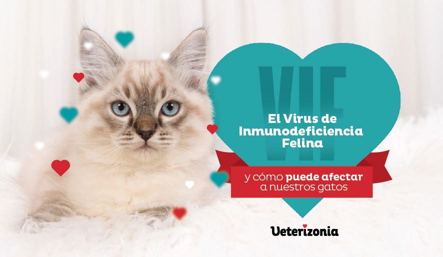 El Virus Inmunodeficiencia Felina, Veterizonia