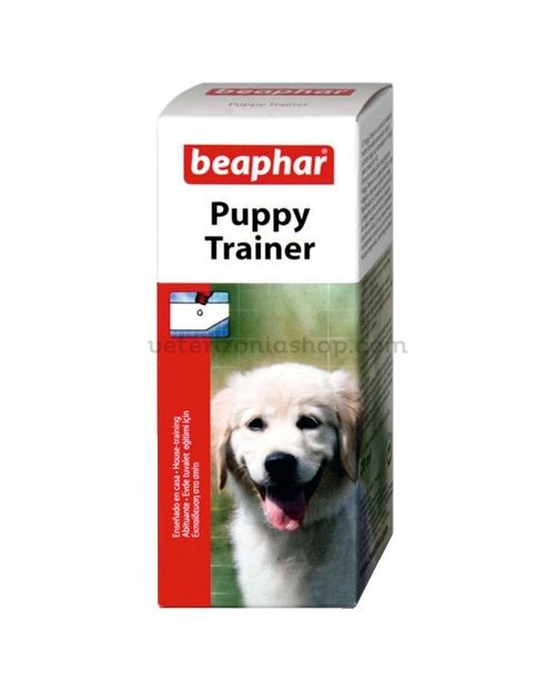 puppy-trainer-educador-de-cachorros-empapador