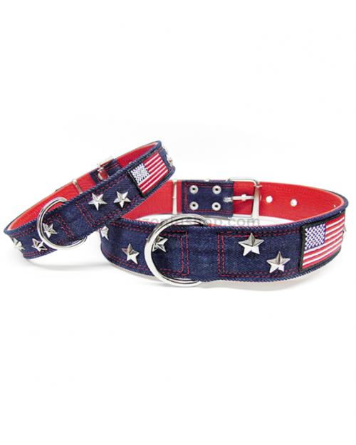 collar para perro usa