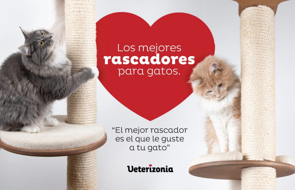 Rascador para 2025 gatos