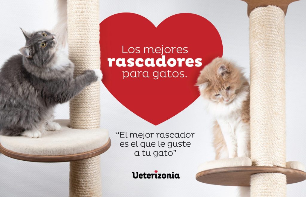 Rascadores gatos