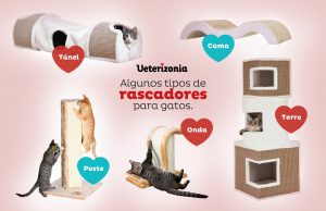 tipos de rascadores gatos