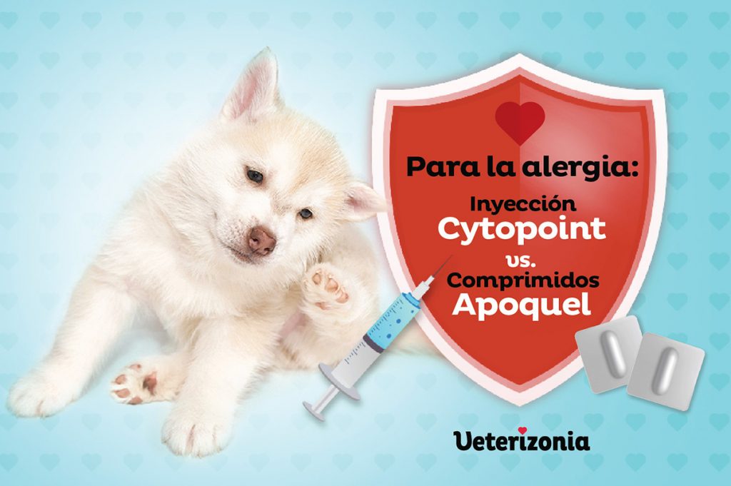 Inyección Cytopoint comprimidos Apoquel