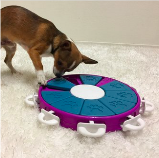 juguete-interactivo-nina-ottosson-twister-para-perros-veterizoniashop-3