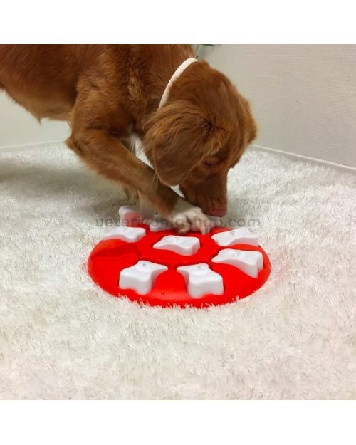 juguete-interactivo-para-perro-dog-smart-nina-ottosson-nivel-1-veterizoniashop-2