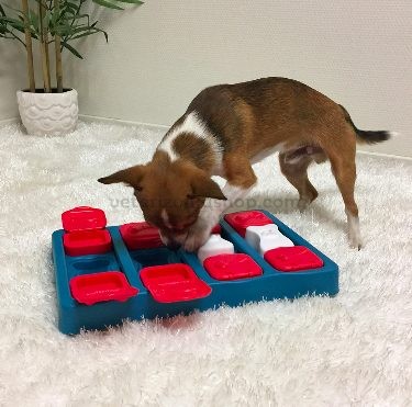 juguete-interactivo-para-perros-nina-ottosson-dog-brick-veterizoniashop-1