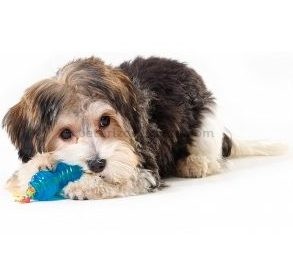 juguete-masticable-para-cachorros-mini-orka-petstages-veterizoniashop-1