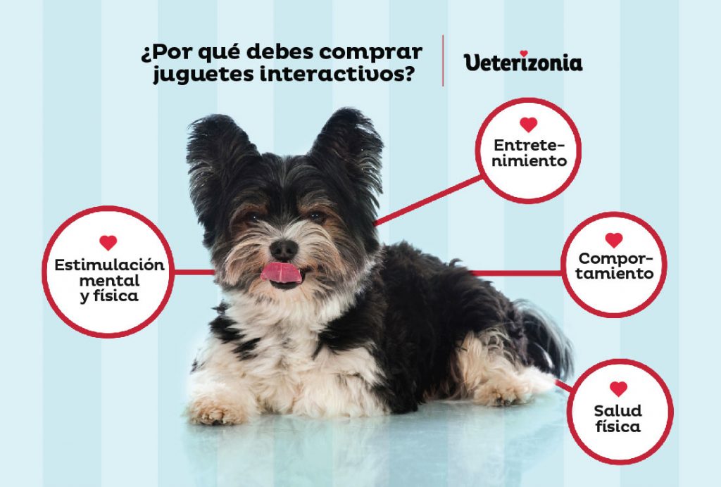 Juguetes interactivos perros