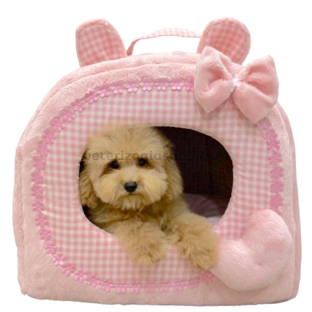 iglú-orejas-para-perro-gato-rosa-veterizoniashop-1