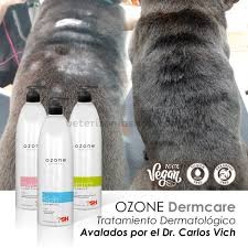 PHS-Ozone-carlos-vich