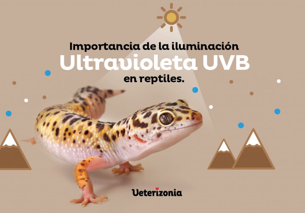 Ultravioleta reptiles