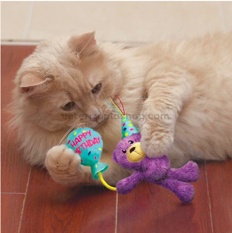 Kong occasions oso teddy de peluche para gatos Veterizonia