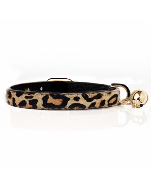 collar-leopardo-para-gato-veterizoniashop
